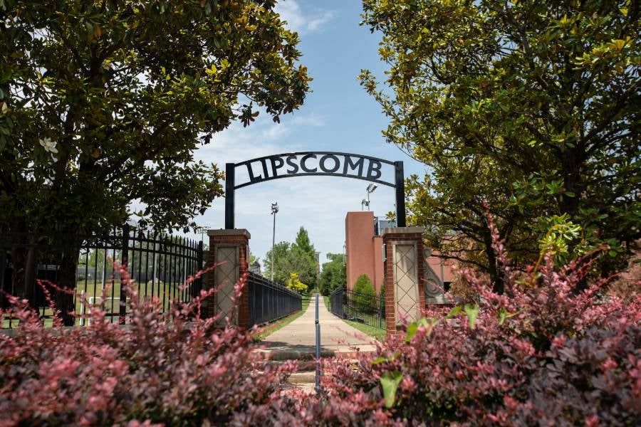 Students selected to present at 2025 National Conference on